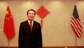 洪磊視頻,揭秘人生百態(tài)，探尋生活真諦
